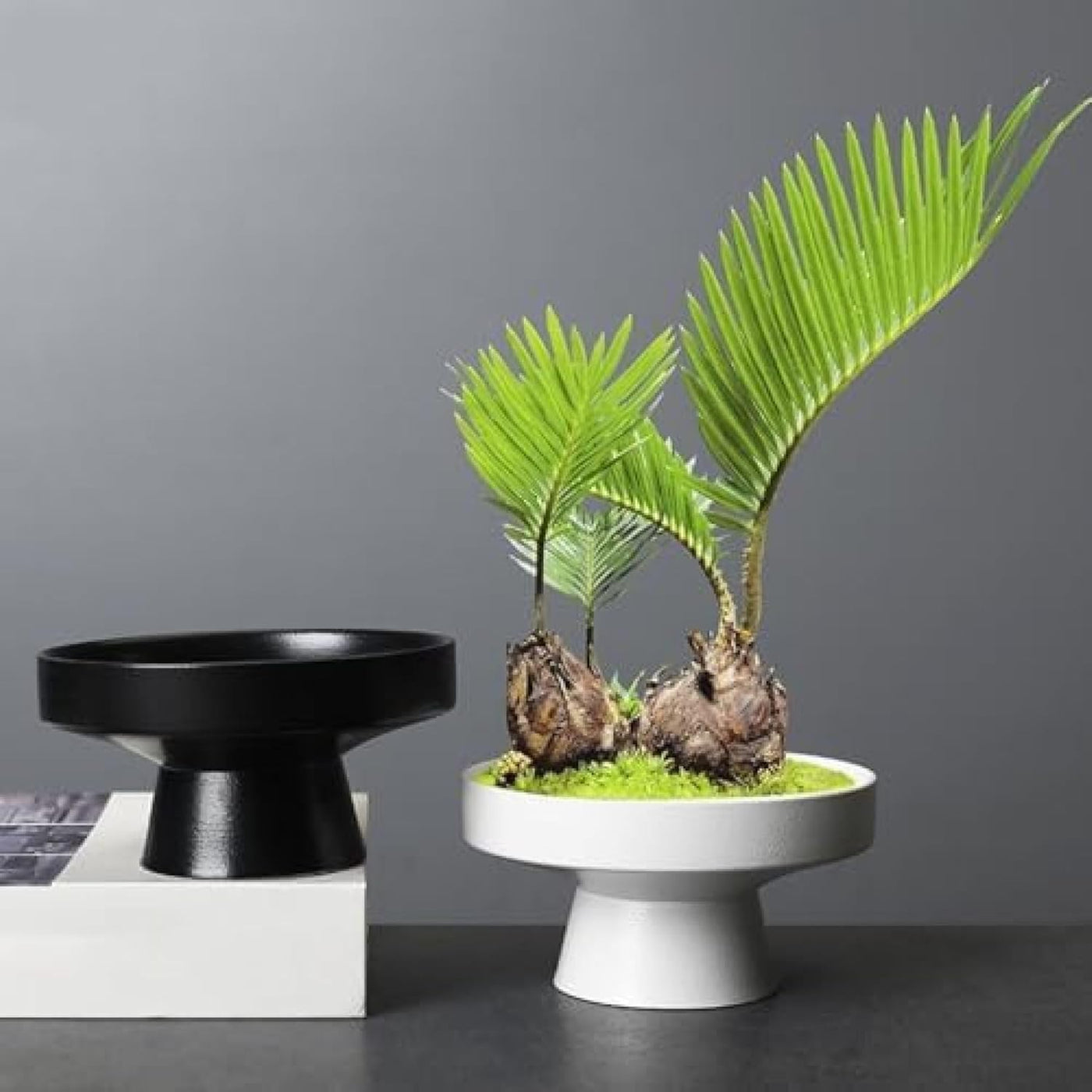 Nordic Botanica - Luxe Keramische Sier- & Plantenbak