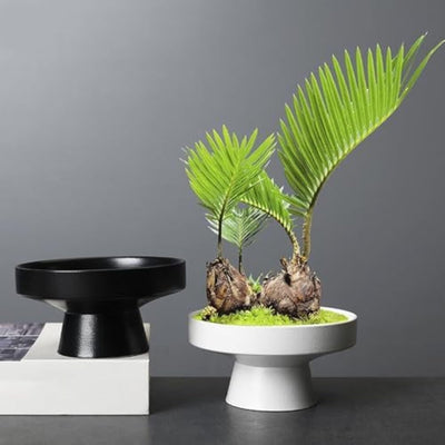 Nordic Botanica - Luxe Keramische Sier- & Plantenbak